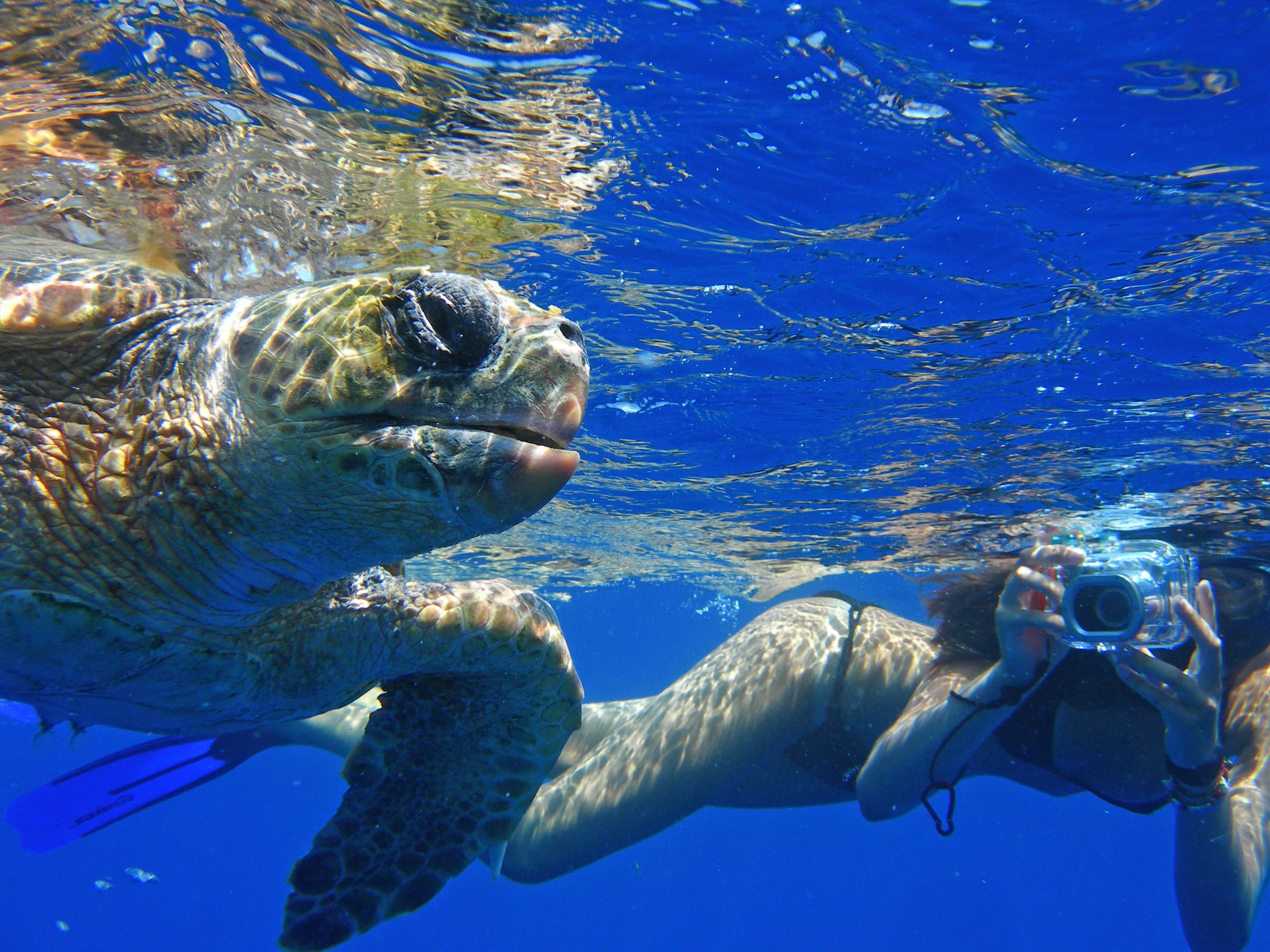 Snorkelling in Kalkan Turkey